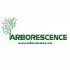 Arborescence